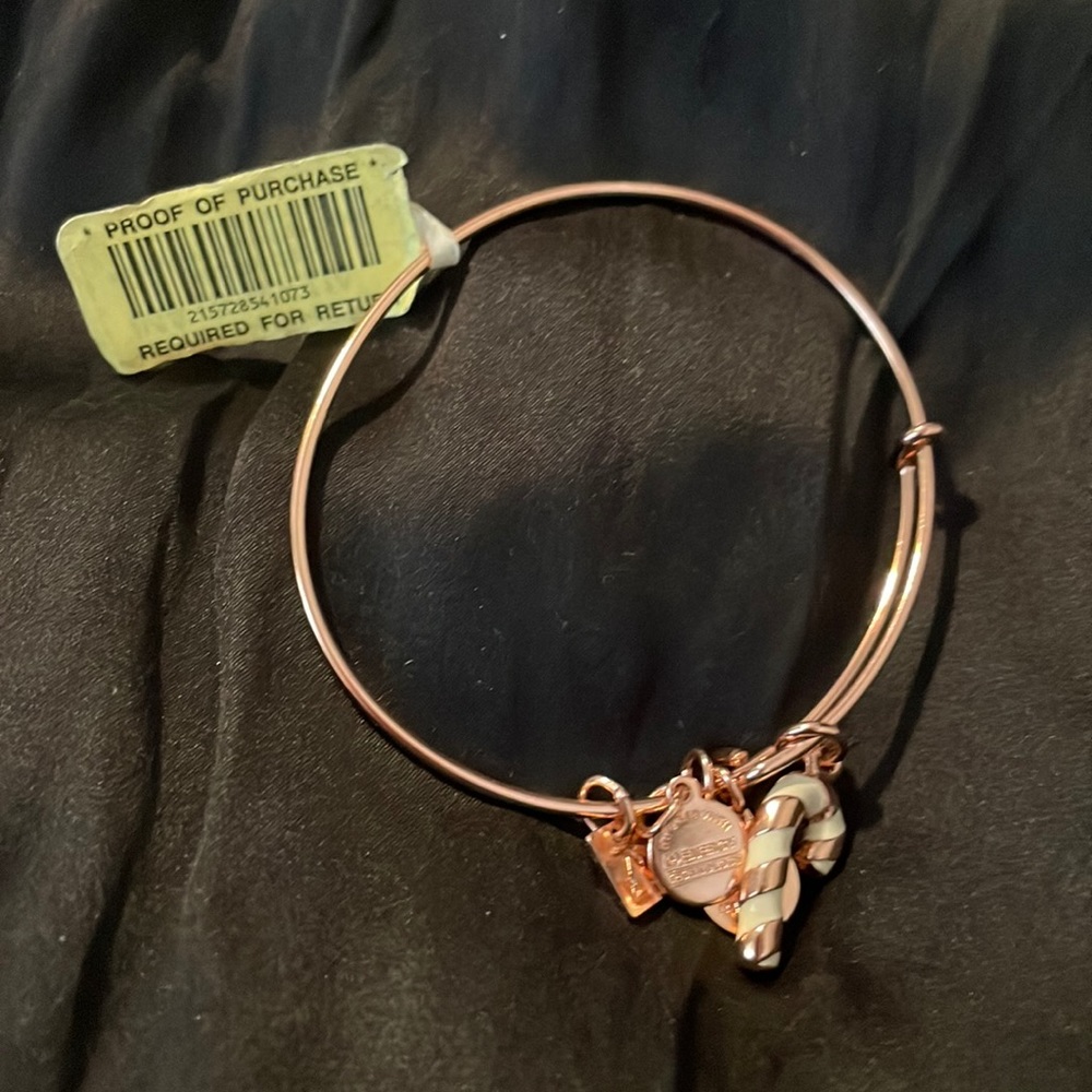 Alex and Ani Bracelet
